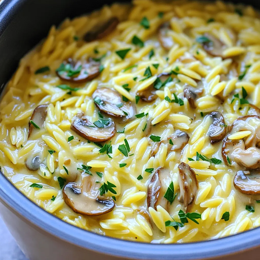 Creamy One-Pot Parmesan Mushroom Orzo Delight